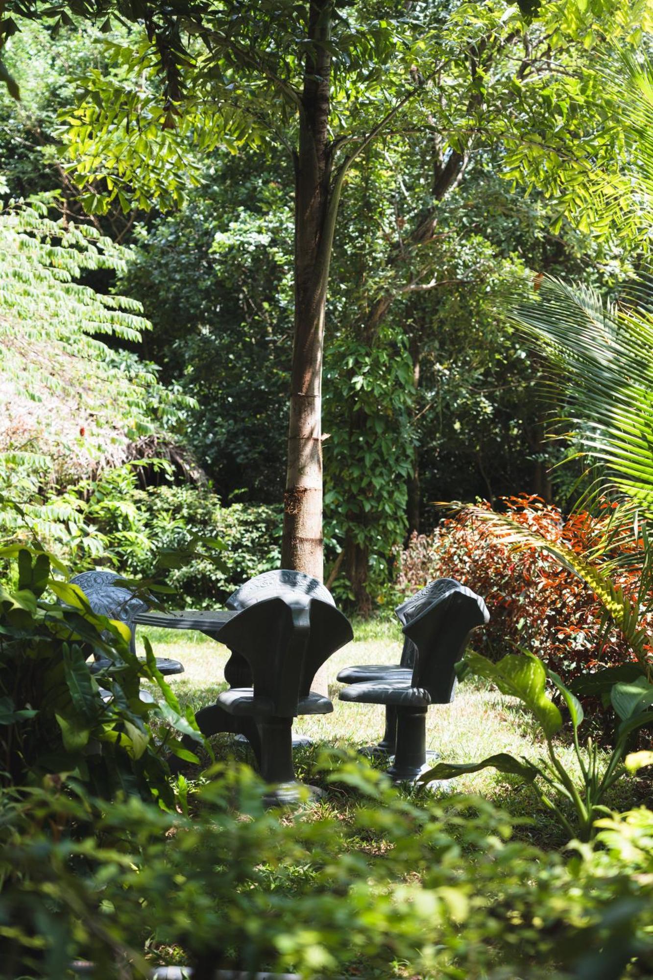 Sundaras Infinity Jungle Resort Dambulla Zewnętrze zdjęcie